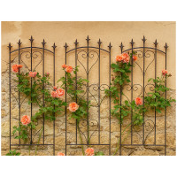 HTI-Living mit Herz-Ornamenten Rankgitter 3er Set HTI-Living mit Herz-Ornamenten Rankgitter 3er Set