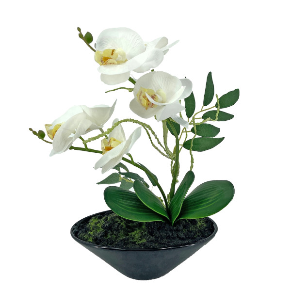 Orchideen-Bonsai 28 cm