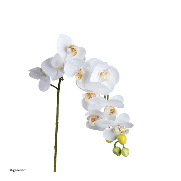 Orchidee 80 cm weiß
