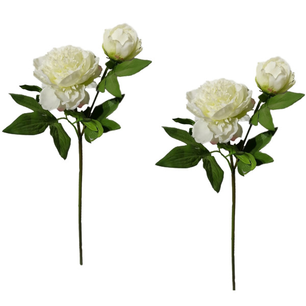 Pfingstrose Flora02, weiss, Kunstpflanze 2er Set