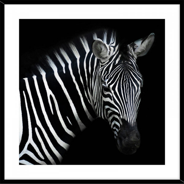 HTI-Line Wildlife Bild