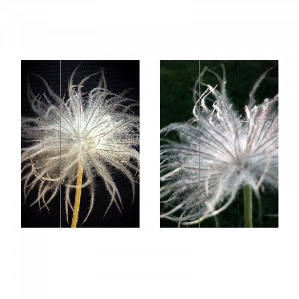 HTI-Living Pusteblume Federleicht Paravent