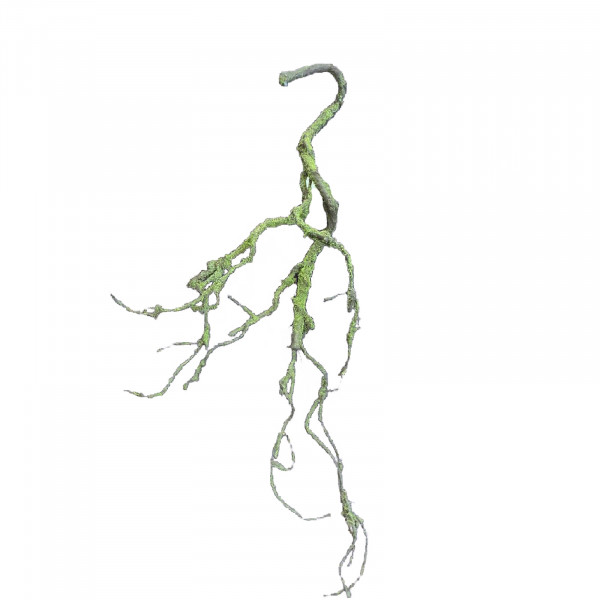 HTI-Living Flora Moos Girlande Hellgrün 70 cm Kunstpflanze