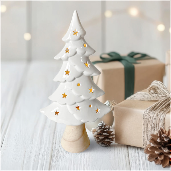 HTI-Living mit Leuchtsternen LED Winterbaum